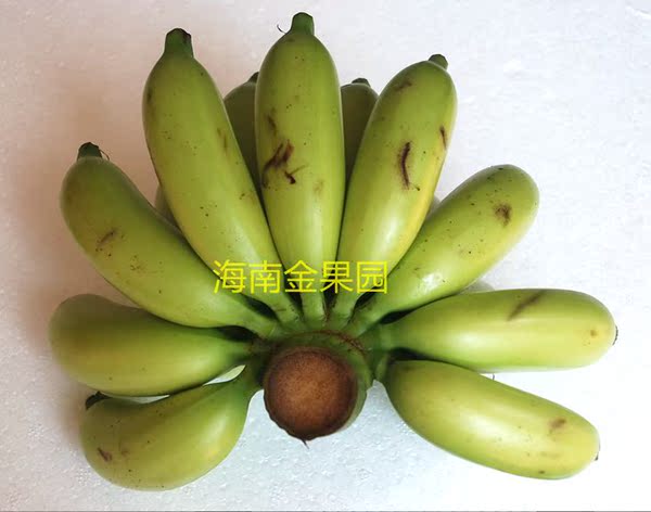 正宗海南新鲜皇帝蕉 帝王蕉 小米蕉 banana香蕉5斤起包邮申通空运