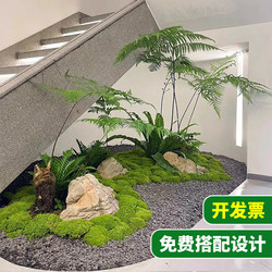 Simulated Plant Landscaping Combination under Stairs, Indoor Decoration, Ferns, Artificial Plants, Green Plants, Bonsai Ornaments, Monkey Head Fern Simulated Plant Landscaping Combination under Stairs, Indoor Decoration, Ferns, Artificial Plants, Green Plants, Bonsai Ornaments, Monkey Head Fern