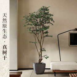 Haihong Yalin Artificial Green Plant, Light Luxury High-End Banyan Tree Potted Plant, Indoor Living Room Fake Tree Floor-Standing Ornament, Artificial Plant Haihong Yalin Artificial Green Plant, Light Luxury High-End Banyan Tree Potted Plant, Indoor Living Room Fake Tree Floor-Standing Ornament, Artificial Plant