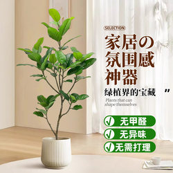 High-End Artificial Green Plant Bengal Banyan, Luxury Indoor Living Room Artificial Flower, Large Floor-Standing Fake Potted Plant High-End Artificial Green Plant Bengal Banyan, Luxury Indoor Living Room Artificial Flower, Large Floor-Standing Fake Potted Plant