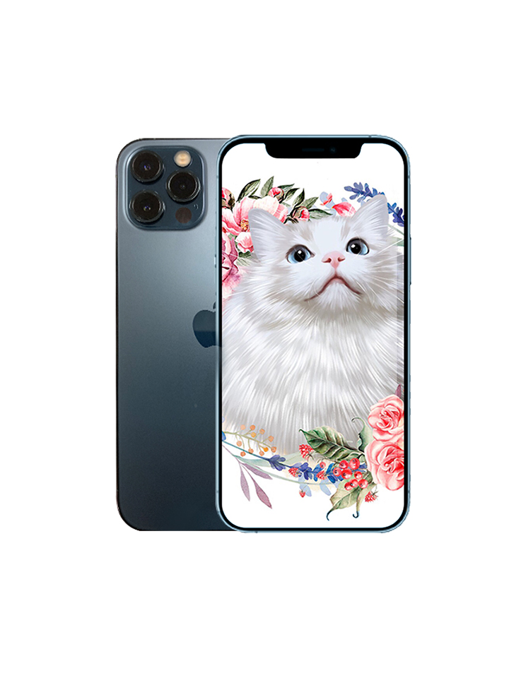 苹果 iPhone 12 Pro 苹果 iPhone 12 Pro