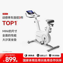 Merrick Spinning Bike Home Exercise Fitness Magnetic Control Bicycle Weight Loss Equipment Indoor Silent Smart Mini Merrick Spinning Bike Home Exercise Fitness Magnetic Control Bicycle Weight Loss Equipment Indoor Silent Smart Mini