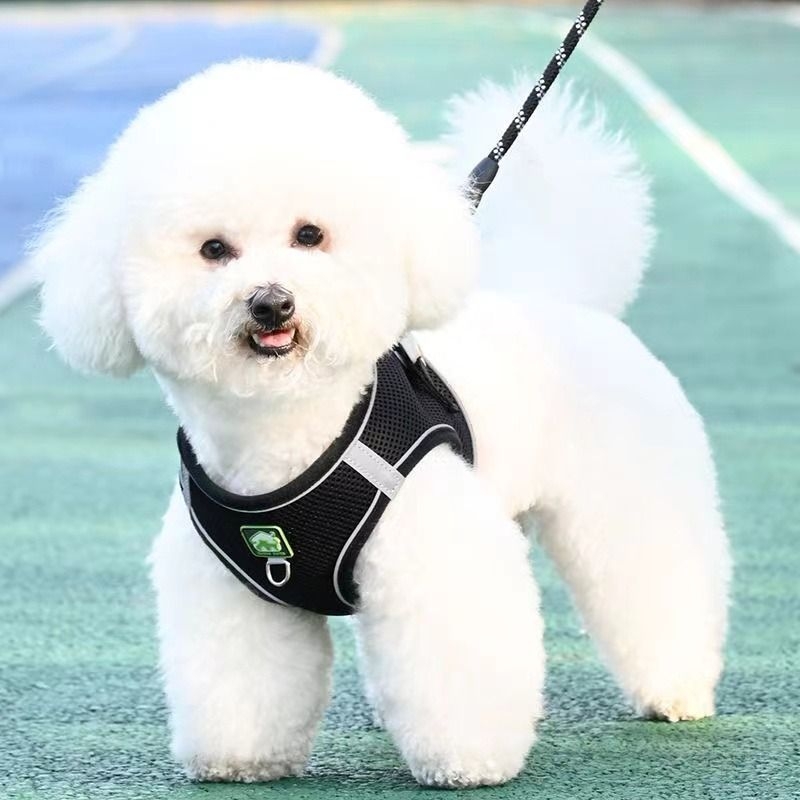 Yalangoch ayollarning havaskor shaxsiy fotosuratlari