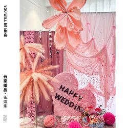 My Family's Wedding Supplies Pink Lion Dance Wedding Room Decoration Bride's Morning Robe Background Setup Set Hotel Wedding Photo Wall 1 My Family's Wedding Supplies Pink Lion Dance Wedding Room Decoration Bride's Morning Robe Background Setup Set Hotel Wedding Photo Wall 1