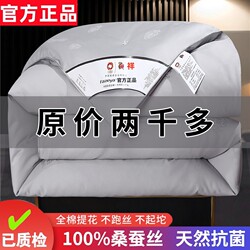 Silk Quilt 100% Mulberry Silk, Thickened Cotton Quilt for Winter, Cool Quilt for Summer, Spring and Autumn Quilt, Two-In-One Quilt Core for Wedding Celebrations Silk Quilt 100% Mulberry Silk, Thickened Cotton Quilt for Winter, Cool Quilt for Summer, Spring and Autumn Quilt, Two-In-One Quilt Core for Wedding Celebrations