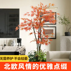 High-End Light Luxury Artificial Areca Palm Indoor Living Room Decoration Floor-Standing Fake Plant Landscaping Bionic Green Plant Potted Red Maple High-End Light Luxury Artificial Areca Palm Indoor Living Room Decoration Floor-Standing Fake Plant Landscaping Bionic Green Plant Potted Red Maple