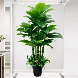 Artificial Plant Greenery Ornament Money Tree Plastic Flower Living Room Potted Plant Large Leaf Peace Lily Fake Flower Indoor Display Monstera Artificial Plant Greenery Ornament Money Tree Plastic Flower Living Room Potted Plant Large Leaf Peace Lily Fake Flower Indoor Display Monstera