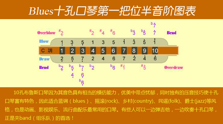 包邮正品天鹅10孔c调布鲁斯口琴 十孔成人儿童初学演奏蓝调口琴