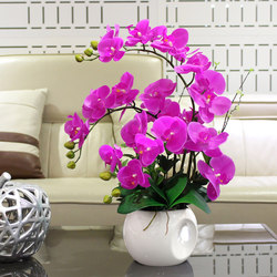 Artificial Phalaenopsis Orchid with Realistic Texture, High-End Floral Arrangement for Living Room Decoration, Fake Flower Ornament, Potted Plant for Tv Cabinet Artificial Phalaenopsis Orchid with Realistic Texture, High-End Floral Arrangement for Living Room Decoration, Fake Flower Ornament, Potted Plant for Tv Cabinet