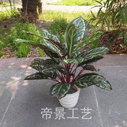 Artificial Small Bonsai Potted Plants, Small Plant Floral Arrangements, Fake Trees, Hotel Decoration, Peacock Leaf, Green Radish, Evergreen Background Wall Artificial Small Bonsai Potted Plants, Small Plant Floral Arrangements, Fake Trees, Hotel Decoration, Peacock Leaf, Green Radish, Evergreen Background Wall