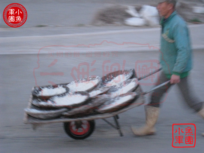 大连海鲜干货_海鲜干货_休闲干货零食(4)