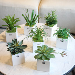 Wo+ Artificial Succulent Plants Artificial Flower Set Pastoral Green Fake Flowers Plastic Flowers Home Decoration Ornaments Wo+ Artificial Succulent Plants Artificial Flower Set Pastoral Green Fake Flowers Plastic Flowers Home Decoration Ornaments