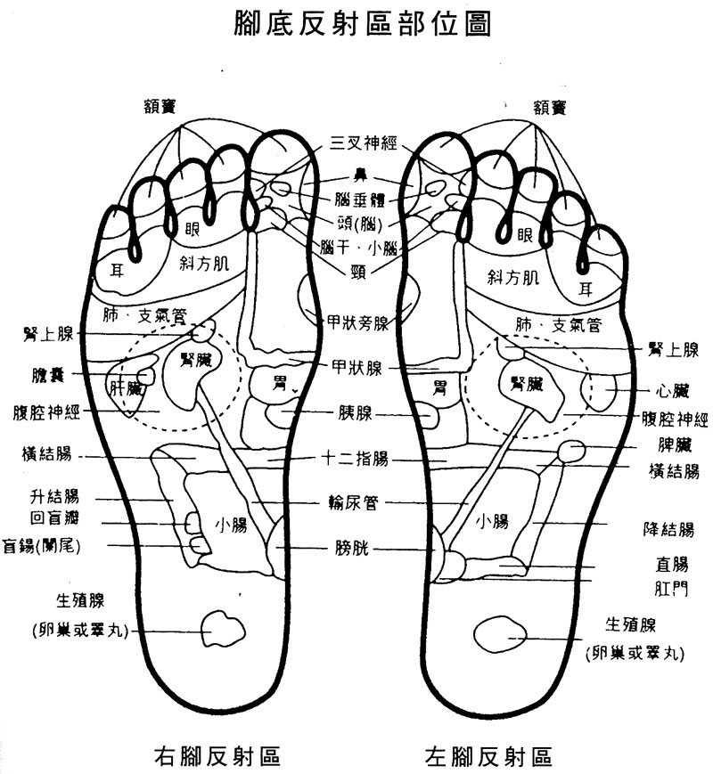 脚底有很多穴位,脚底暖和了,身体的各个部位也就舒展了,扫除疲劳感,让