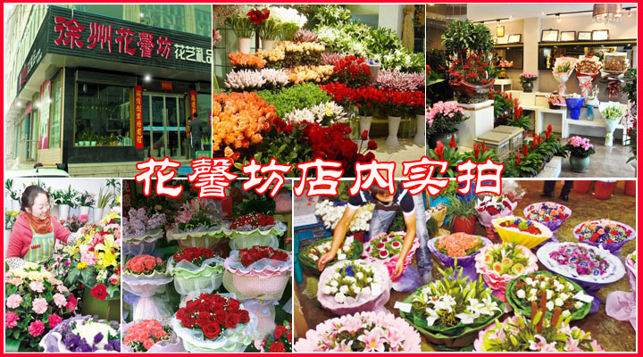 徐州鲜花实体店/徐州365朵康乃馨鲜花预订定速递配送市里包送