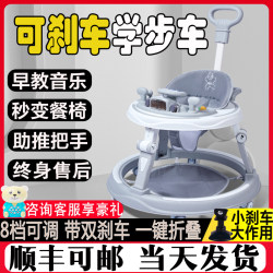 Baby Walker to Prevent O-Shaped Legs, 2025 New Model, Infant Push Walker, Anti-Rollover, Foldable Baby Walker to Prevent O-Shaped Legs, 2025 New Model, Infant Push Walker, Anti-Rollover, Foldable