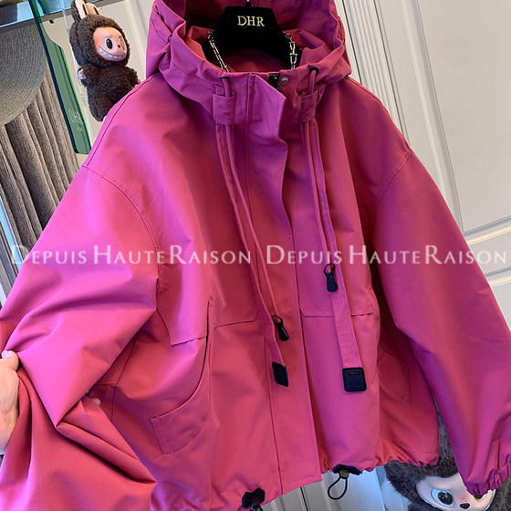 DHR casual workwear style hooded windbreaker jacket short sporty style design small short top for women autumn
DHR casual workwear style hooded windbreaker jacket short sporty style design small short top for women autumn