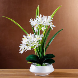 Artificial Flowers with a High-End Feel, Realistic and Simple Style, Living Room Coffee Table Decoration, Fake Flower Ornaments, Scene Arrangement, Silk Flower Arrangement Artificial Flowers with a High-End Feel, Realistic and Simple Style, Living Room Coffee Table Decoration, Fake Flower Ornaments, Scene Arrangement, Silk Flower Arrangement