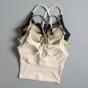 Sports underwear female high -strength fitness running shock prevention yoga clothing color combination beauty vest gathered bra
 Sports underwear female high -strength fitness running shock prevention yoga clothing color combination beauty vest gathered bra