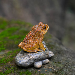 Simulated Fortune-Bringing Toad Ornament for Garden Bonsai, Rockery, Micro-Landscape Decoration, Toad Desktop Craft Decoration Simulated Fortune-Bringing Toad Ornament for Garden Bonsai, Rockery, Micro-Landscape Decoration, Toad Desktop Craft Decoration
