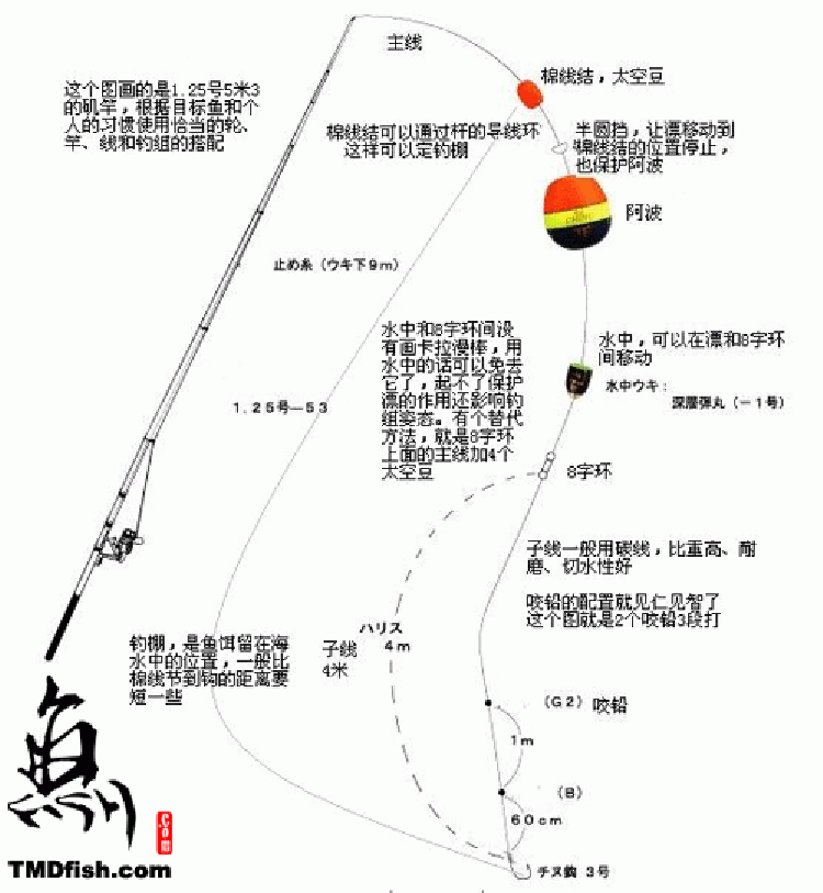 桐木漂矶钓竿浮标海钓竿鱼漂浮漂阿波啊波漂矶钓漂海竿水库浮子漂