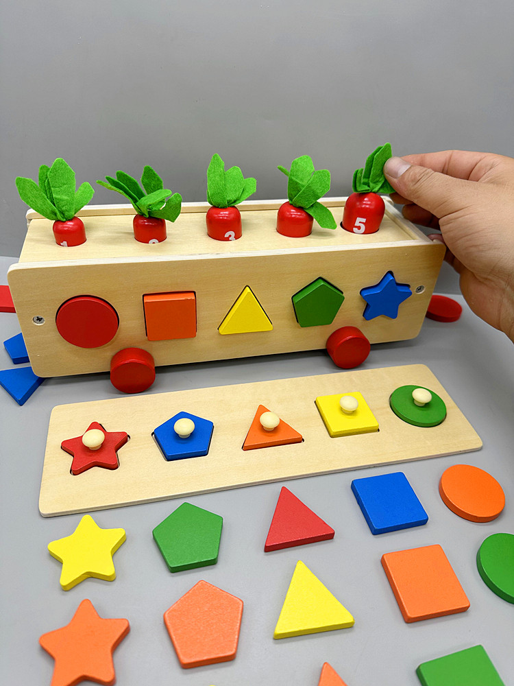 Clasificador de Formas Montessori Puzzle Geométrico para Bebés