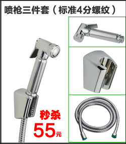Биде 净身妇洗器喷头 全铜 洁身器 增压马桶冲洗伴侣喷枪 妇洗器套装 Genovese