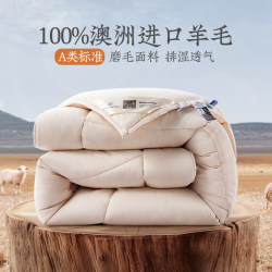 Dreamy Winter Quilt Australian Wool Quilt Brushed Thickened Warm Home Textile Quilt Four Seasons Quilt Women's Quilt Core Cashmere Quilt Dreamy Winter Quilt Australian Wool Quilt Brushed Thickened Warm Home Textile Quilt Four Seasons Quilt Women's Quilt Core Cashmere Quilt