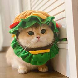 Cat Burger Headband Funny Cute Pet Hat Cat Burger Headband Funny Cute Pet Hat