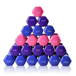 Women's Plastic-Coated Dumbbells, Original Export Surplus Stock, 2Lb-9Lb Fitness Equipment for Arm Muscle Training, Multi-Colored Rubber Coating Women's Plastic-Coated Dumbbells, Original Export Surplus Stock, 2Lb-9Lb Fitness Equipment for Arm Muscle Training, Multi-Colored Rubber Coating