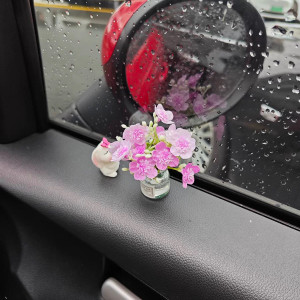 Internet celebrity healing cute mini vase car ornaments car aromatherapy window screen tricycle decoration supplies 
Internet celebrity healing cute mini vase car ornaments car aromatherapy window screen tricycle decoration supplies