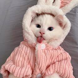 Cute and funny outfits, rabbit ear outfits, autumn and winter cat outfits, small and medium-sized dog teddy plus velvet winter cotton coats, pet clothes Cute and funny outfits, rabbit ear outfits, autumn and winter cat outfits, small and medium-sized dog teddy plus velvet winter cotton coats, pet clothes
