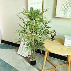 Real plants indoor and outdoor home simulated bamboo decoration imitation scenery artificial potted plants fake bamboo bamboo hotel courtyard Real plants indoor and outdoor home simulated bamboo decoration imitation scenery artificial potted plants fake bamboo bamboo hotel courtyard