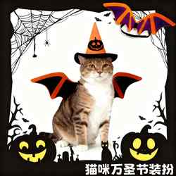 Halloween Cat Costume Bat Wings Hat Bow Tie Accessories Funny Pet Outfit Dog Holiday Transformation Costume Halloween Cat Costume Bat Wings Hat Bow Tie Accessories Funny Pet Outfit Dog Holiday Transformation Costume
