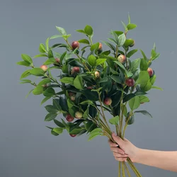 Single Artificial Camellia Flower with Fruit Decoration, Fake Flower, Plastic Flower, Green Plant, Green Leaf Decoration, Fake Branch, Tea Tree Green Leaves Single Artificial Camellia Flower with Fruit Decoration, Fake Flower, Plastic Flower, Green Plant, Green Leaf Decoration, Fake Branch, Tea Tree Green Leaves
