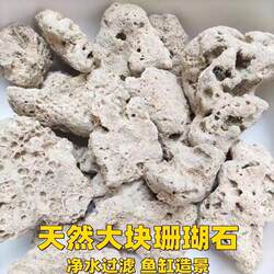 Fish tank high quality coral stone natural fish pond filter material Fish tank high quality coral stone natural fish pond filter material