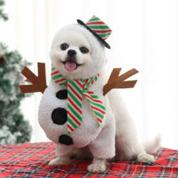 Dog Christmas Crossdressing Dog Cute Personality Dog Christmas Crossdressing Dog Cute Personality