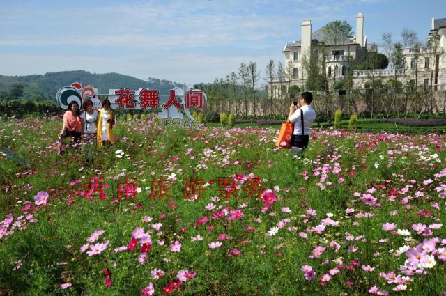 [可定当天]四川成都新津花舞人间门票新津花舞人间成人票电子票