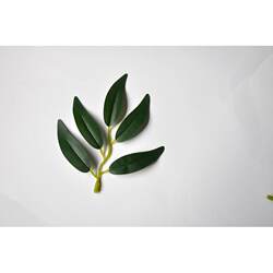 Factory direct sales of simulated plant accessories. Money leaf eucalyptus artificial flower plant leaves rattan leaves Factory direct sales of simulated plant accessories. Money leaf eucalyptus artificial flower plant leaves rattan leaves