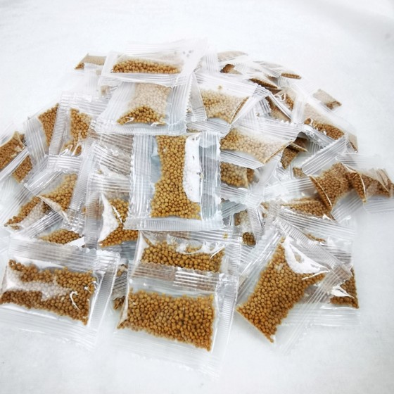 Small package turtle food high calcium Brazilian turtle food grass tortoise food general turtle feed pellets general bulk turtle food
Small package turtle food high calcium Brazilian turtle food grass tortoise food general turtle feed pellets general bulk turtle food