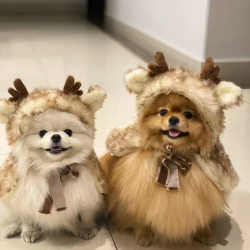 Christmas pet dog clothing elk cloak dog cat clothes cat transformation hat ornament supplies Christmas pet dog clothing elk cloak dog cat clothes cat transformation hat ornament supplies