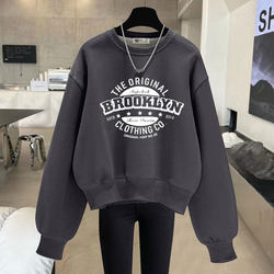 pullover sweatshirt round neck long sleeves pullover sweatshirt round neck long sleeves