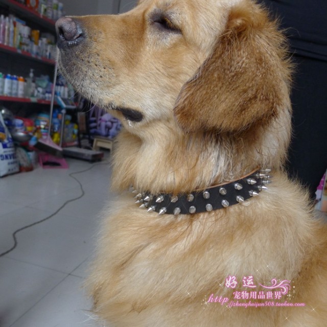 Ошейник для животных Good luck pet supplies world 888 Ошейник для животных Good luck pet supplies world 888
