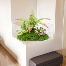 Simulated Green Plant Potted Plants Landscaping Indoor Window Display Simulated Tree Landscaping Bonsai Restaurant Scene Decoration Simulated Green Plant Potted Plants Landscaping Indoor Window Display Simulated Tree Landscaping Bonsai Restaurant Scene Decoration
