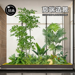 Artificial Green Plant Fancy Living Room Nantique Bamboo Decorative Floor Ornaments Indoor Landscape Plant Landscaping Artificial Green Plant Fancy Living Room Nantique Bamboo Decorative Floor Ornaments Indoor Landscape Plant Landscaping