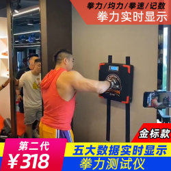 Punching Power Tester Boxing Force Meter Punching Bag Sandbag Strength Tester Dynamometer Weight Display Wall Target Punching Power Tester Boxing Force Meter Punching Bag Sandbag Strength Tester Dynamometer Weight Display Wall Target