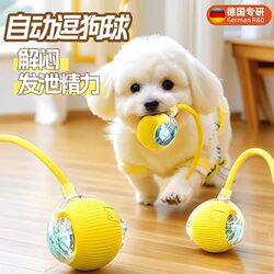 Dog Toy Ball, Automatic Dog Walking, Electric Dog Teasing, Bite-Resistant, Puppy Bichon Frise Play, Pet Dog Self-Entertainment and Boredom-Relief Gadget Dog Toy Ball, Automatic Dog Walking, Electric Dog Teasing, Bite-Resistant, Puppy Bichon Frise Play, Pet Dog Self-Entertainment and Boredom-Relief Gadget