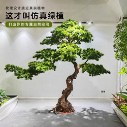 Yingke Pine Artificial Landscaping Plant Outdoor Garden Decoration Fake Green Plant Arrangement Large Indoor Landscape Artificial Pine Yingke Pine Artificial Landscaping Plant Outdoor Garden Decoration Fake Green Plant Arrangement Large Indoor Landscape Artificial Pine