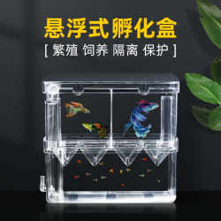 Acrylic delivery room for young fry and eggs Acrylic delivery room for young fry and eggs