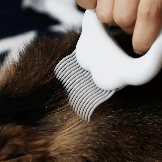 Pet cleaning supplies new style cat and dog knot rake comb beauty hair removal brush floating hair shell comb bristle tool
Pet cleaning supplies new style cat and dog knot rake comb beauty hair removal brush floating hair shell comb bristle tool