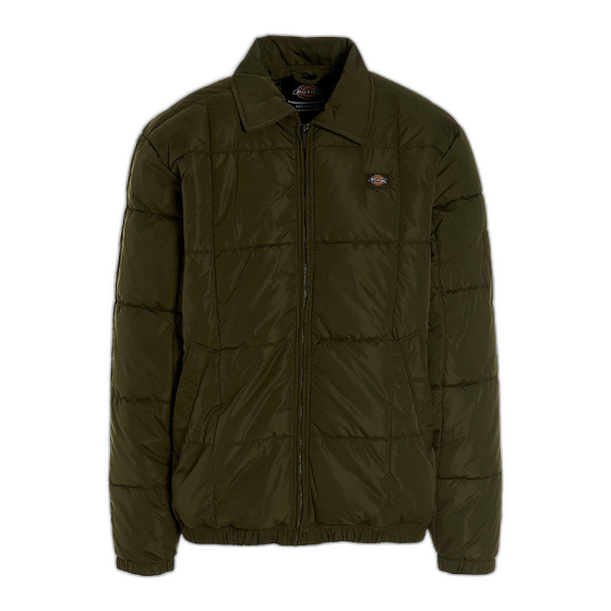 European direct mail DICKIES men's down jacket DK0A4XYZMGR1 high-end fashion casual and fashionable
European direct mail DICKIES men's down jacket DK0A4XYZMGR1 high-end fashion casual and fashionable